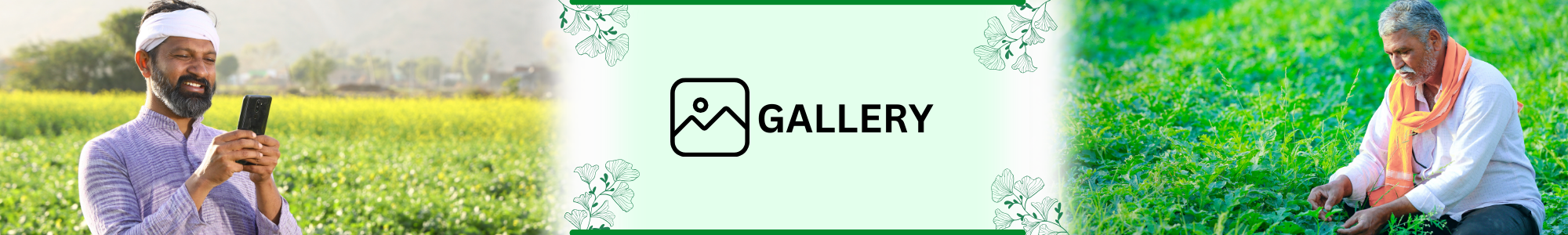 Untitled design (11)